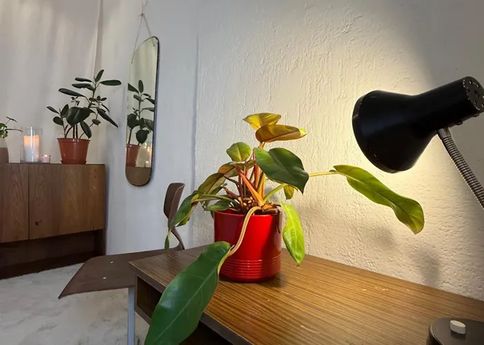 Vintage House - Lgbtq & Female Friendly * Wien