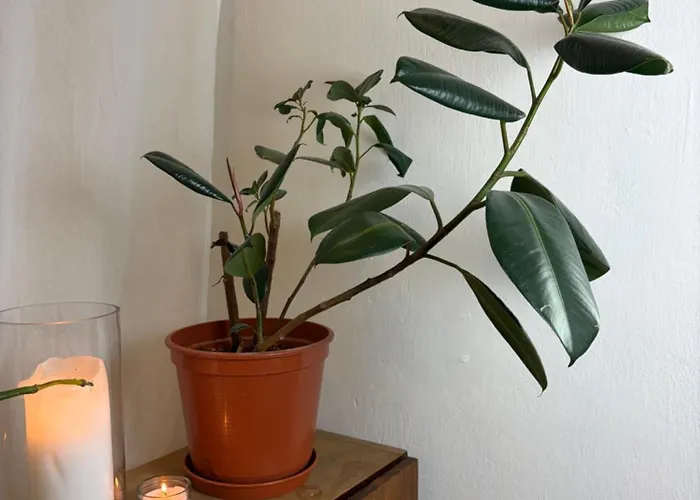 Vintage House - Lgbtq & Female Friendly Privatunterkunft